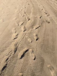 Footprints on sandy beach