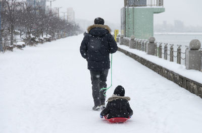 Rear view of father pulling son sitting on sled