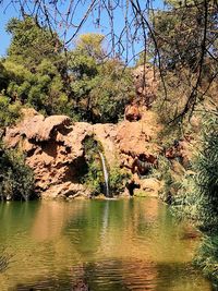 Scenic view of river flowing through rocks in forest