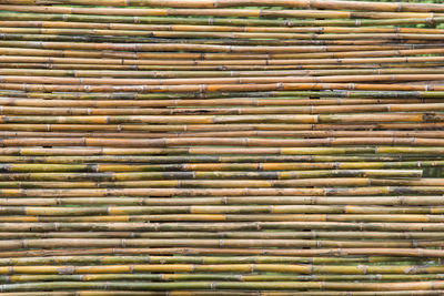 Full frame shot of bamboo background