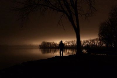 Silhouette of bare trees by lake at sunset