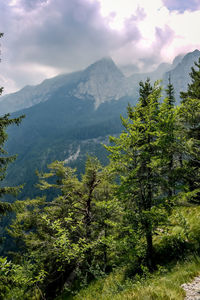 Scenic view of tree mountains against sky