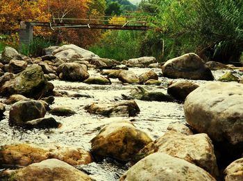 Rocks and pebbles in water