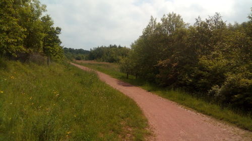 Road amidst trees on field against sky