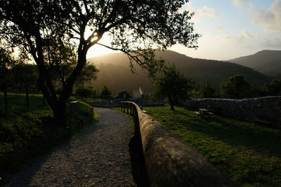 A beautiful scenery in italy wit the low standing sun, a tree, a pathway and some mountains.