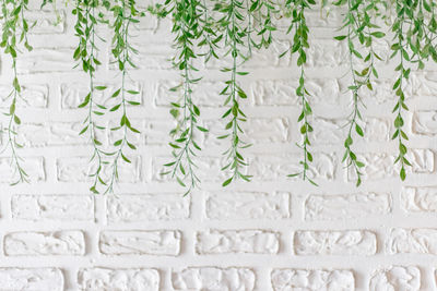 Full frame shot of white wall