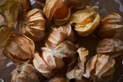 High angle view of gooseberry 