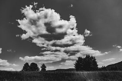 Trees on field against sky