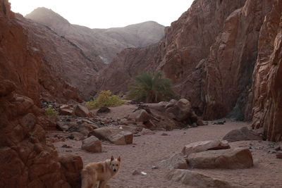 View of rocks on mountain