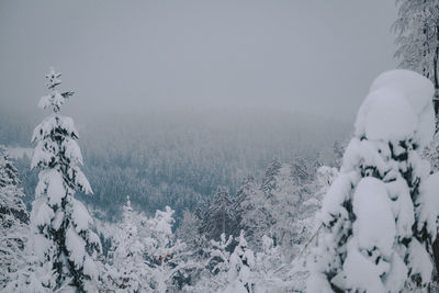 Scenic view of snow covered field against sky