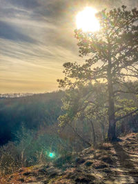 sun
