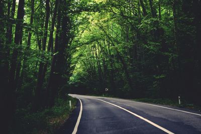 Empty road along trees in forest