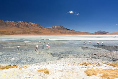 Scenic view of desert against sky