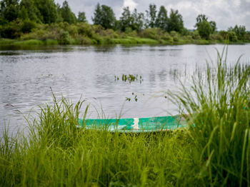 Scenic view of lake