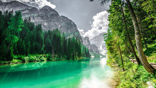 Scenic view of lake amidst trees in forest at pragser wildsee against sky
