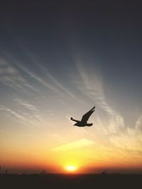 Silhouette of airplane flying in sky at sunset