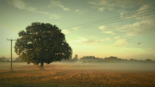 Scenic view of field against cloudy sky