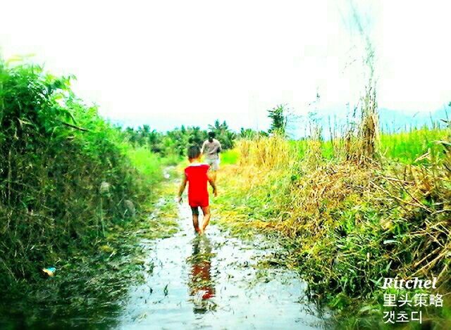 full length, walking, rear view, lifestyles, water, leisure activity, grass, plant, men, nature, standing, casual clothing, green color, dirt road, tranquility, sky, the way forward, tranquil scene