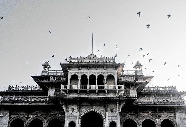 bird, architecture, built structure, flying, building exterior, low angle view, arch, animal themes, animals in the wild, wildlife, clear sky, history, flock of birds, sky, outdoors, famous place, architectural column, day, travel destinations