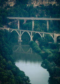 Bridge over river in forest