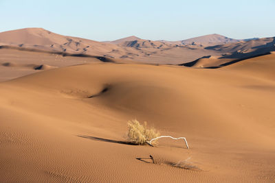 Sand dunes in desert against clear sky