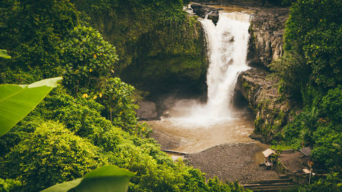 High angle view of waterfall in forest