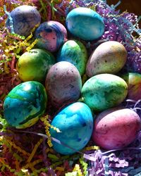 Close-up of multi colored objects