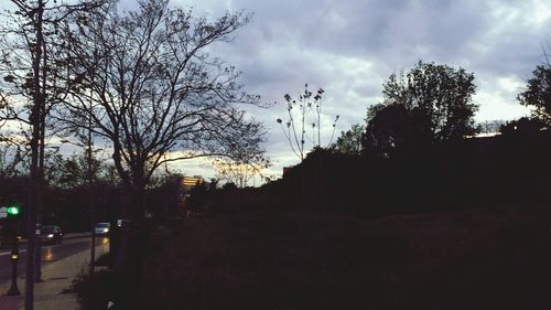 Silhouette of trees against cloudy sky