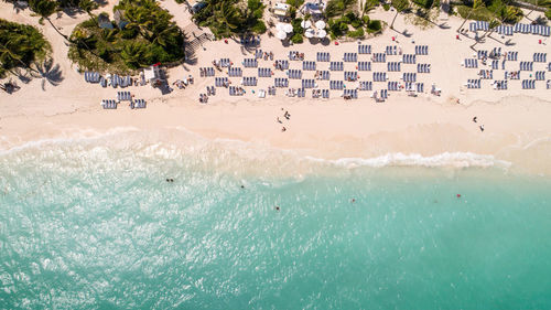 High angle view of palm trees at beach