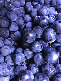 Full frame shot of blackberries