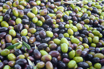 Green and black olives ready to be processed at the mill to get the olive oil, close up