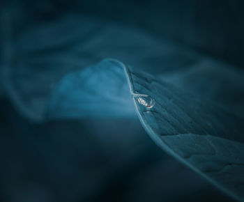 High angle view of raindrops on windshield