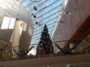 Low angle view of christmas tree against building