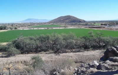 Scenic view of landscape against clear sky