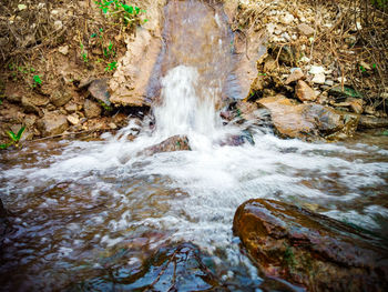 Scenic view of waterfall in forest