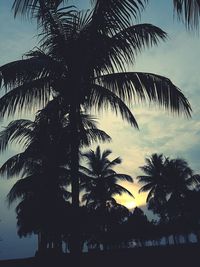 Silhouette palm trees against sky during sunset