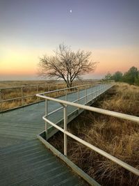 View of bare trees by railing against sky during sunset