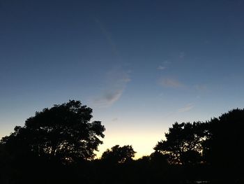 Low angle view of silhouette trees against sky during sunset