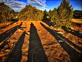 Shadow of man on dirt road against sky