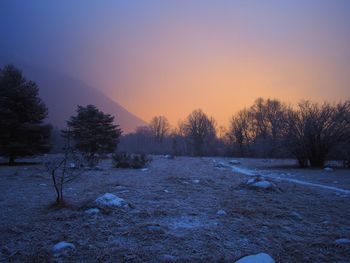 Trees on snow covered landscape during sunset