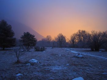 Trees on snow covered landscape during sunset