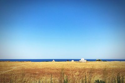 Scenic view of beach against clear blue sky