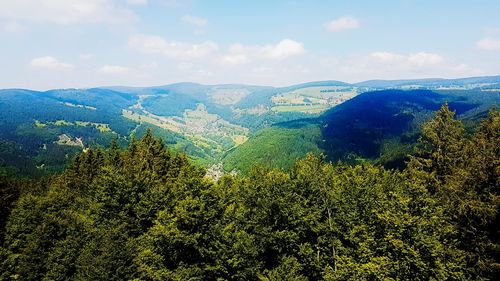 Scenic view of forest against sky
