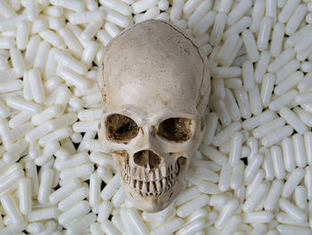 Close-up of human skull