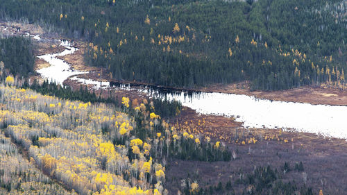 Panoramic view of lake and trees in forest