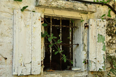 Damaged window of old building