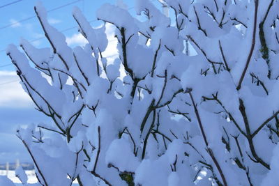 Low angle view of snow against blue sky