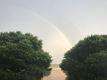 Scenic view of rainbow over trees against sky