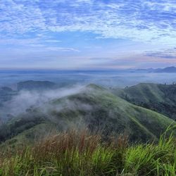 Scenic view of landscape against sky