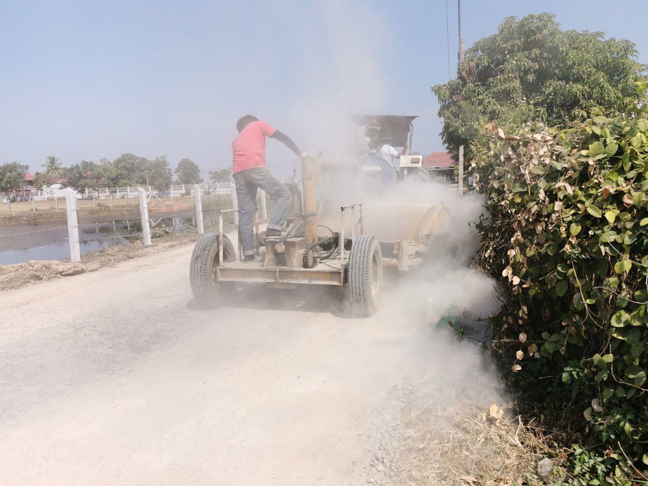 MAN WORKING ON ROAD BY PLANTS